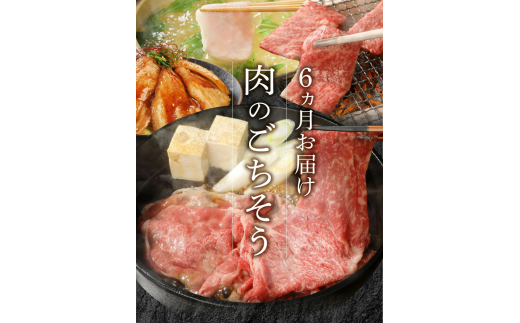 宮崎牛 宮崎県産和牛 豚肉 計7.9㎏ 6ヶ月定期便