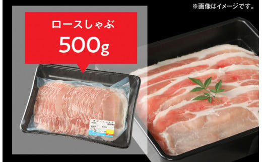 宮崎県産豚 ロースとんかつ 100g×5 ロースしゃぶ 500g ヒレとんかつ 400g　計1.4kg