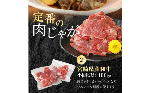 宮崎牛 ロース ステーキ 250g×2 宮崎県産和牛小間切れ 100g×2 計700g