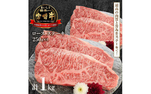 宮崎牛 ロース ステーキ 250g×4 計1kg