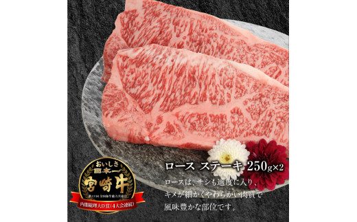 宮崎牛ロースステーキ 250g×2 計500g N0147-YB725