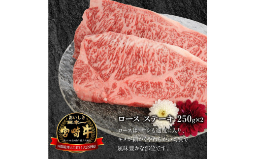 宮崎牛 ロース ステーキ 250g×2 計500g