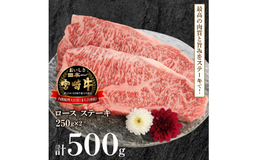 宮崎牛ロースステーキ 250g×2 計500g N0147-YB725