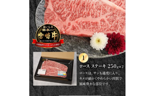 宮崎牛 ロース ステーキ 250g×2 宮崎県産和牛小間切れ 100g×2 計700g