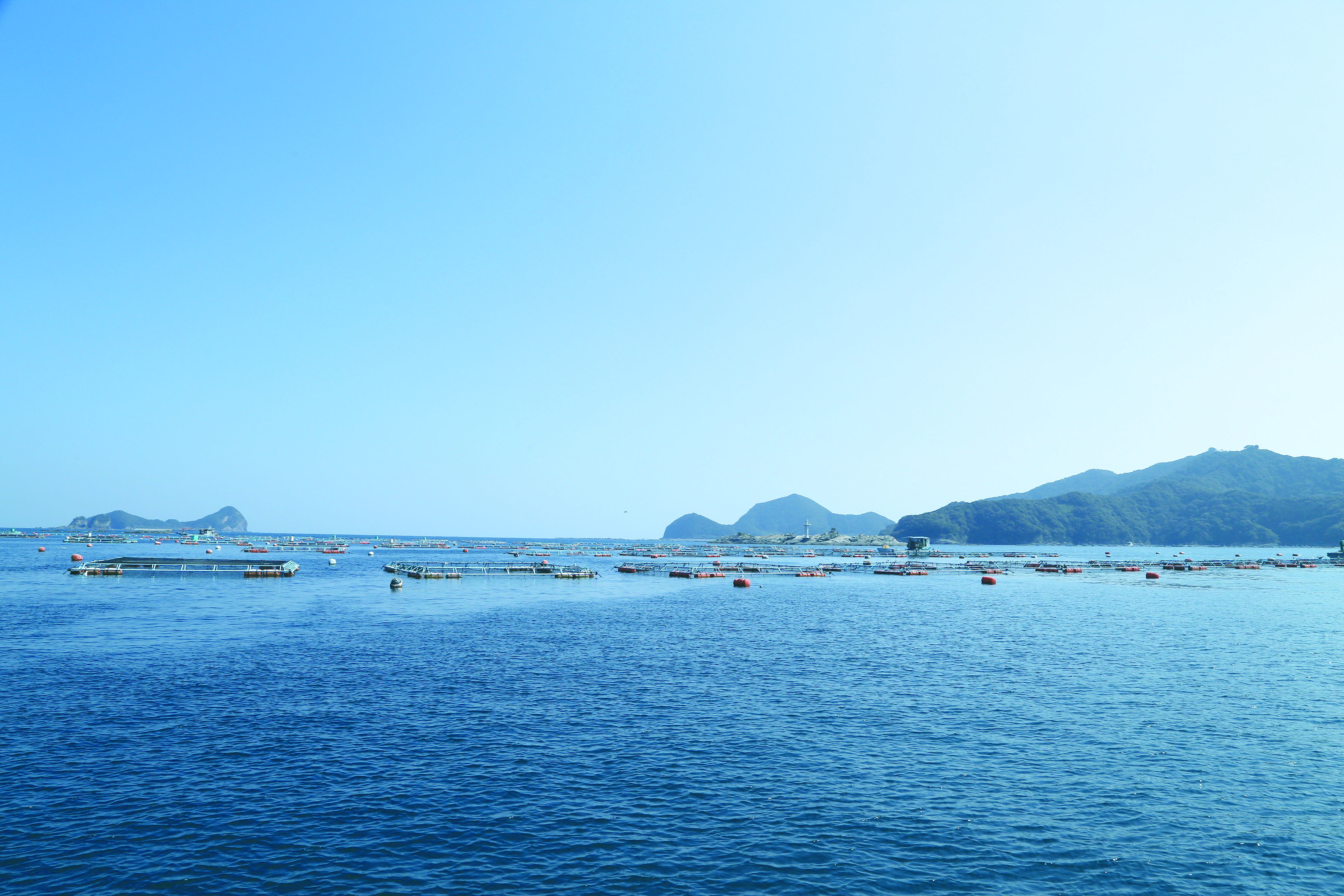 延岡自慢の海の幸を育む豊かな海