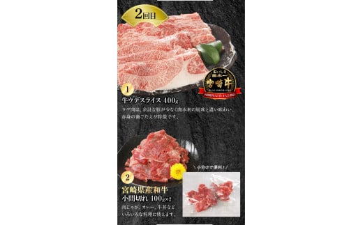 宮崎牛 宮崎県産和牛 豚肉 計7.9㎏ 6ヶ月定期便