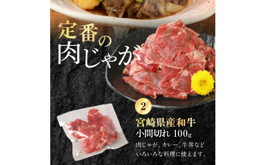 宮崎牛 肩ロース スライス 300g 宮崎県産和牛小間切れ 100g 計400g