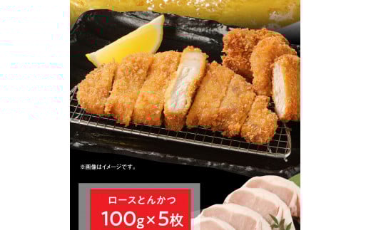 豚ロースとんかつ100g×5ロースしゃぶ500gヒレとんかつ400g計1.4kg N0147-YA764