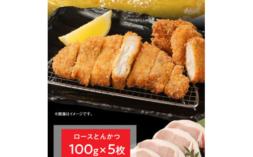 宮崎県産豚 ロースとんかつ 100g×5 ロースしゃぶ 500g ヒレとんかつ 400g　計1.4kg