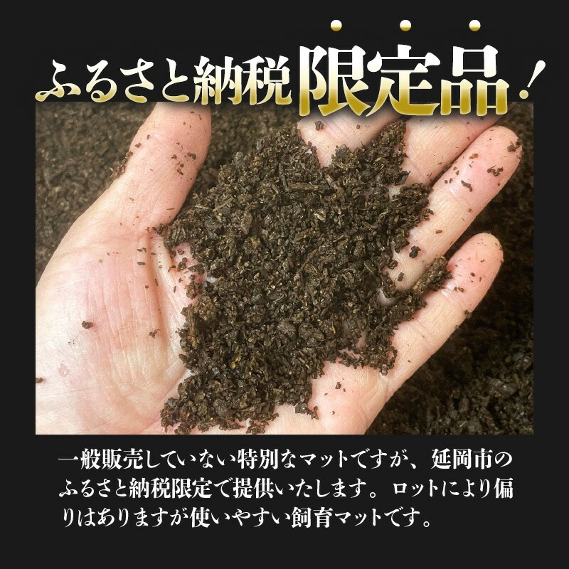【HirokA】ヘラクレスオオカブト 飼育 マット オリジナルマット B　N022-YZA734
