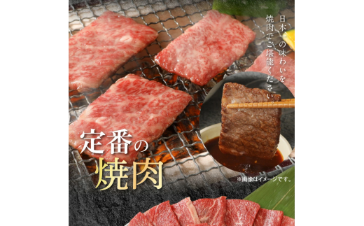 宮崎牛 ウデ・モモ・バラ 焼肉用 各400g 計1.2kg