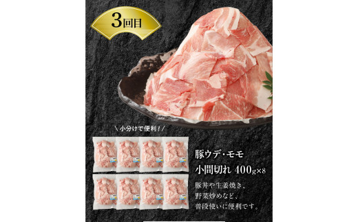 宮崎牛 宮崎県産和牛 豚肉 計7.9㎏ 6ヶ月定期便