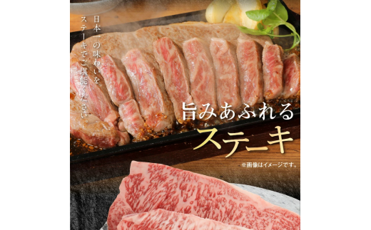 宮崎牛 ロース ステーキ 250g×2 宮崎県産和牛小間切れ 100g×2 計700g