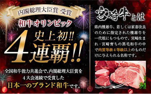 【最短2週間以内で発送】数量限定 宮崎牛 肩ウデ スライス 計500g 肉 牛肉 国産 すき焼き 人気 おすすめ ブランド牛 黒毛和牛 赤身 しゃぶしゃぶ 食品 高級 贅沢 お取り寄せ 小分け ミヤチク おかず 記念日 宮崎県 日南市 送料無料_MPBA3-24-2W