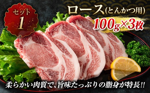 数量限定 豚肉 6種 盛り合わせ セット 合計4.1kg 国産 食品 豚バラ 豚ロース モモ スライス 小間切れ とんかつ 人気 おかず 焼肉 しゃぶしゃぶ 詰め合わせ 万能食材 グルメ 食べ比べ ミヤチク 宮崎県 日南市 送料無料 _MPCA3-24