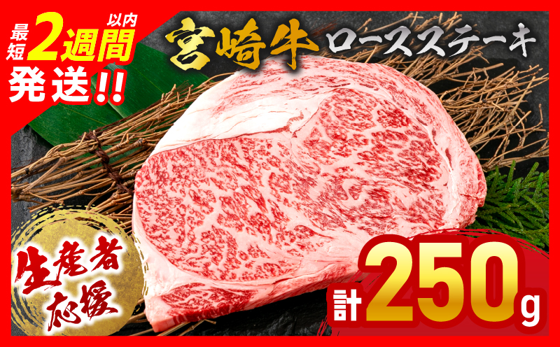 生産者応援 数量限定 宮崎牛 ロース ステーキ 1枚 牛肉 ビーフ 黒毛和牛 ミヤチク 国産 ブランド牛 食品 おかず ディナー 人気 おすすめ 鉄板焼き 高級 贅沢 上質 ご褒美 お祝 記念日 イベント グルメ 枚数が選べる 宮崎県 日南市 送料無料_MPB1-24