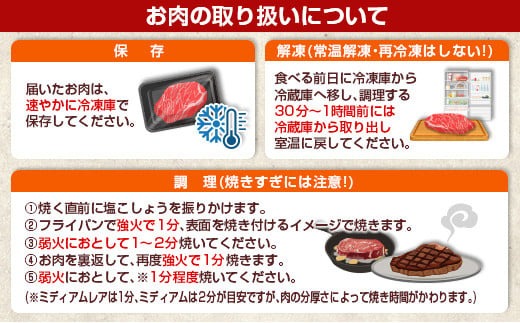 数量限定 超希少 宮崎牛 ヒレステーキ 計360g 肉 牛 牛肉 ステーキ 人気 ヒレ 赤身 国産 食品_MPEB1-24