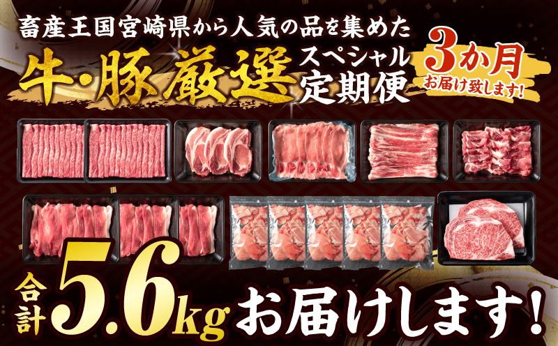 3か月 お楽しみ 牛 豚 厳選 スペシャル 定期便 総重量5.6kg 肉 牛肉 宮崎牛 肩ウデ ロースステーキ 豚肉 6種 盛り合わせ セット 豚ロース 豚バラ 小間切れ すき焼き しゃぶしゃぶ 黒毛和牛 A4 A5 和牛 国産 食品 牛丼 薄切り おすすめ 宮崎県産 日南市 送料無料_MPGH1-24