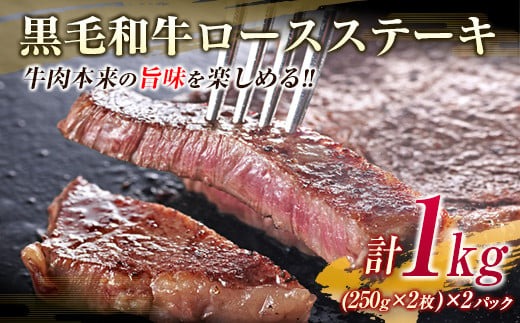 数量限定 黒毛和牛 ロース ステーキ 250g×4枚 豚 ハンバーグ 100g×4個 合計1.4kg 肉 牛 牛肉 国産 ロースステーキ 送料無料_MPF1-24