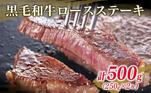 数量限定 黒毛和牛 ロースステーキ 250g×2枚 豚 ハンバーグ 100g×4個 合計900g 肉 牛 牛肉 国産 人気 おかず ステーキ ロース 焼肉 食品 送料無料_MPCC2-24