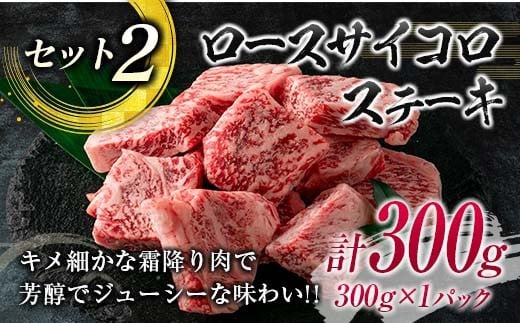 数量限定 宮崎牛 ステーキ 食べ比べ セット 合計500g 牛肉 ビーフ 黒毛和牛 ミヤチク 国産 ブランド牛 ヒレ ロース サイコロステーキ 希少 おかず おつまみ 食品 鉄板焼き 贅沢 ご褒美 お祝い 記念日 詰め合わせ お取り寄せ グルメ 宮崎県 日南市 送料無料_MPE1-24