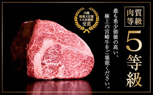 数量限定 最高ランク 5等級 宮崎牛 ロース ステーキ 計500g 牛肉 ビーフ 黒毛和牛 ミヤチク 国産 ブランド牛 食品 おかず ディナー  おすすめ 鉄板焼き 高級 贅沢 上質 ご褒美 お祝 記念日 イベント おもてなし お取り寄せ グルメ 宮崎県 日南市 送料無料_MPD1-24 