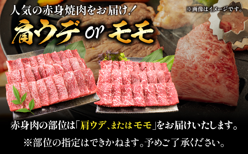 【畜産農家応援】数量限定 厳選 宮崎牛 赤身 焼肉 計500g 粗挽きウインナー 牛肉 国産焼き肉 BBQ 鉄板焼き バーベキュー 人気 黒毛和牛 肩ウデ モモ A4 A5 等級 ギフト 贈答 小分け 食品 宮崎県 日南市 送料無料_MPBB4-25-ZO