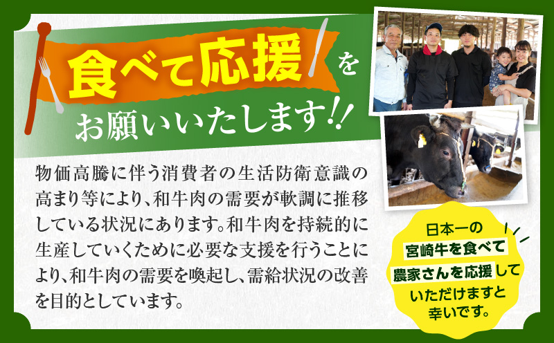【畜産農家応援】数量限定 厳選 宮崎牛 赤身 焼肉 計500g 粗挽きウインナー 牛肉 国産焼き肉 BBQ 鉄板焼き バーベキュー 人気 黒毛和牛 肩ウデ モモ A4 A5 等級 ギフト 贈答 小分け 食品 宮崎県 日南市 送料無料_MPBB4-25-ZO