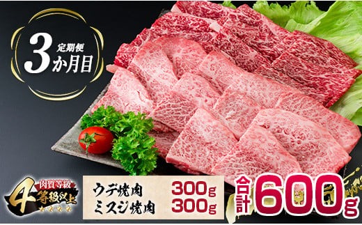 4か月 お楽しみ 定期便 宮崎牛 焼肉 バラエティ セット 総重量2.4kg 肉 牛 牛肉 黒毛和牛 モモ ミスジ イチボ バラ 国産 おかず 食品 BBQ 送料無料_MPIG1-24