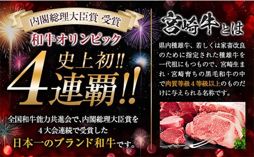 3か月定期便 月替わりで堪能!! 宮崎牛 イチオシ 焼肉 セット お楽しみ 定期便 粗挽き ウインナー 総重量2kg以上 ブランド牛 牛肉 黒毛和牛 国産 霜降り 赤身 人気 おすすめ 高級 ギフト プレゼント 贈り物 配送月が選べる 宮崎県 日南市 送料無料_MPH3-25