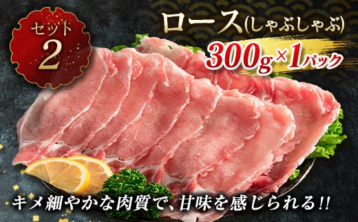 数量限定 豚肉 6種 盛り合わせ セット 合計4.1kg 国産 食品 豚バラ 豚ロース モモ スライス 小間切れ とんかつ 人気 おかず 焼肉 しゃぶしゃぶ 詰め合わせ 万能食材 グルメ 食べ比べ ミヤチク 宮崎県 日南市 送料無料 _MPCA3-24