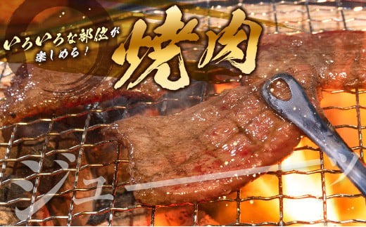 宮崎牛 切り落とし 焼肉 粗挽きウインナー 豚ハンバーグ セット 合計2kg以上 肉 牛 牛肉 国産 おかず 食品 お肉 送料無料_MPFA2-24