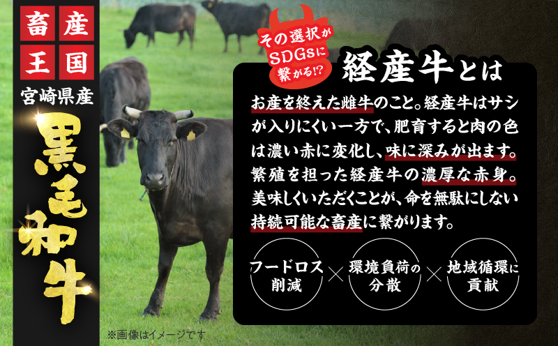 黒毛和牛 ロースステーキ 計800g 肉 牛 牛肉 和牛 国産 ステーキ肉 ビーフ 食品 ディナー おかず 晩ご飯 食べ応え 赤身 焼肉 鉄板焼き BBQ バーベキュー おすすめ 小分け ギフト 贈り物 贈答 ご褒美 ミヤチク 冷凍 宮崎県 日南市 送料無料_MPDB2-25