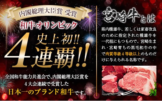 3か月 お楽しみ 定期便 宮崎牛 堪能 セット 合計3kg 肉 牛 牛肉 黒毛和牛 ロース 肩ロース モモ ステーキ しゃぶしゃぶ 国産 おかず 食品 焼肉 送料無料_MPKB1-24