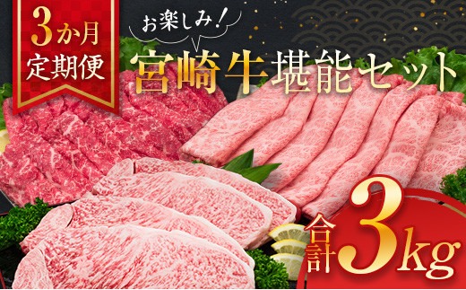 3か月 お楽しみ 定期便 宮崎牛 堪能 セット 合計3kg 牛肉 黒毛和牛 国産 ブランド牛 ミヤチク 肩ロース モモ ステーキ スライス しゃぶしゃぶ すき焼き 焼肉 4等級以上 高級 贅沢 ご褒美 お祝 記念日 おかず お取り寄せ グルメ 食品 宮崎県 日南市 送料無料_MPKE1-25