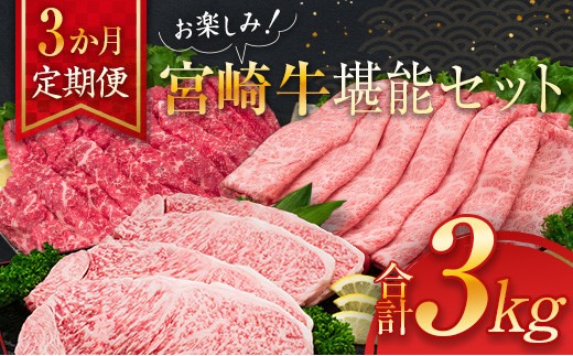 3か月 お楽しみ 定期便 宮崎牛 堪能 セット 合計3kg 肉 牛 牛肉 黒毛和牛 ロース 肩ロース モモ ステーキ しゃぶしゃぶ 国産 おかず 食品 焼肉 送料無料_MPKB1-24