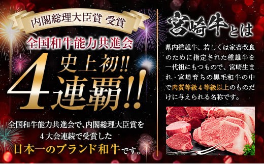 数量限定 超希少 宮崎牛 ヒレステーキ 計360g 肉 牛 牛肉 ステーキ 人気 ヒレ 赤身 国産 食品_MPEB1-24