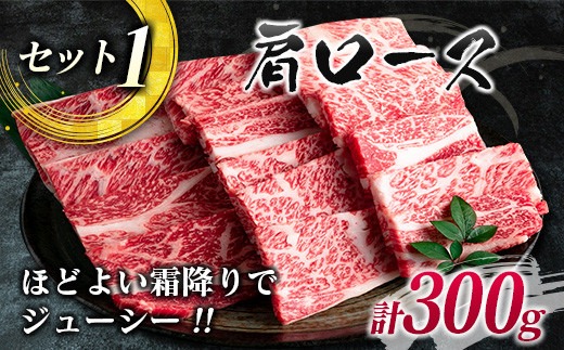 数量限定 宮崎牛 3種 お試し 焼肉 セット 合計900g 牛肉 ビーフ 肩ロース バラ モモ 黒毛和牛 ミヤチク 国産 ブランド牛 食品 高級 贅沢 上質 ご褒美 バーベキュー BBQ 鉄板焼き お祝 詰め合わせ お取り寄せ グルメ おかず おすすめ 宮崎県 日南市 送料無料_MPD2-24