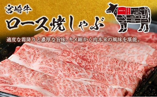 生産者応援 数量限定 宮崎牛 ロース 焼きしゃぶ 計600g 牛肉 ビーフ 黒毛和牛 ミヤチク 国産 ブランド牛 食品 おかず おすすめ 贅沢 イベント お取り寄せ グルメ パック数が選べる 送料無料_MPCD4-24