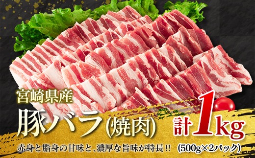 数量限定 豚肉 焼肉 セット 合計3kg 豚バラ 豚ロース ポーク 詰め合わせ 国産 宮崎県産 ミヤチク おかず お弁当 おつまみ 食べ比べ 食品 バーベキュー キャンプ グランピング 人気 おすすめ 小分け お祝 記念日 バラエティ お取り寄せ 日南市 送料無料_MPCC4-24