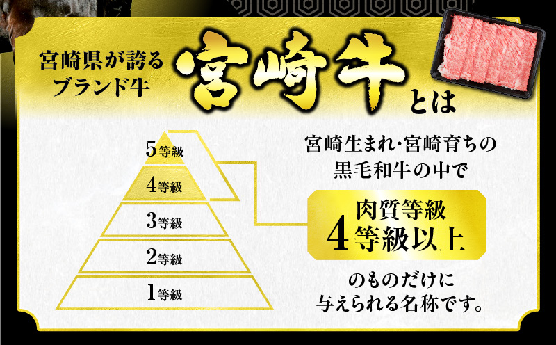 数量限定 超希少 宮崎牛 ヒレステーキ 計300g 牛肉 黒毛和牛 赤身 おすすめ おかず 人気 国産 高級 ステーキ肉 A4 A5 記念日 お祝い 贈り物 プレゼント ギフト 贈答 ご褒美 お取り寄せ ミヤチク ブランド牛 配送月が選べる 宮崎県 日南市 送料無料_MPDA8-26