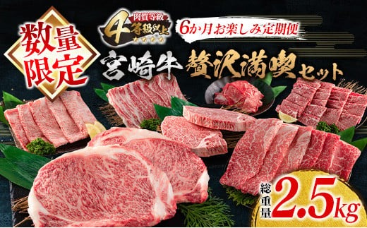 数量限定 6か月 お楽しみ 定期便 宮崎牛 贅沢 満喫 セット 総重量2.5kg 黒毛和牛 ブランド牛 牛肉 国産 ビーフ 人気 食品 焼肉 ステーキ スライス 小間切れ しゃぶしゃぶ すき焼き ミヤチク お取り寄せ グルメ ご褒美 記念日 お祝 宮崎県 日南市 送料無料_MPM2-25