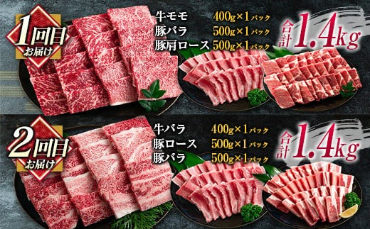数量限定 6か月 お楽しみ 定期便 宮崎牛 豚肉 焼肉 セット 総重量8kg以上 牛肉 ビーフ ポーク 黒毛和牛 ミヤチク モモ バラ 肩ロース ミスジ ウデ 豚バラ BBQ 鉄板焼き 食べ比べ 国産 食品 おかず お弁当 冷凍 お取り寄せ グルメ 宮崎県 日南市 送料無料_MPM1-25