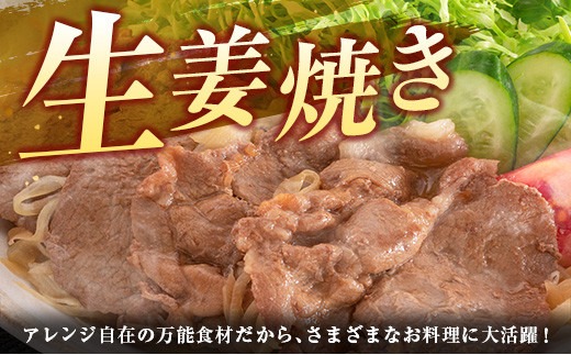 数量限定 豚肉 豚ウデ 豚モモ スライス セット 合計4.5kg 国産 ポーク 薄切り おかず 食品 お弁当 晩ご飯 人気 焼肉 すき焼き 生姜焼き カレー 万能食材 グルメ 赤身肉 小分け 詰め合わせ 食べ比べ おすそ分け お取り寄せ ミヤチク 宮崎県 日南市 送料無料_MPCB4-24