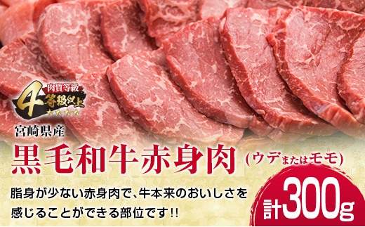 数量限定 黒毛和牛 赤身肉 豚ロース 焼肉 食べ比べ セット 合計800g 肉 牛肉 豚肉 国産 ミヤチク ウデ モモ おかず お弁当 食品 BBQ  キャンプ アウトドア グランピング ご褒美 記念日 お祝 お取り寄せ グルメ 宮崎県 日南市 送料無料_MPBA2-24 | 返礼品をさがす 