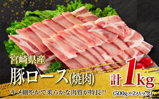 数量限定 豚肉 焼肉 セット 合計3kg 豚バラ 豚ロース ポーク 詰め合わせ 国産 宮崎県産 ミヤチク おかず お弁当 おつまみ 食べ比べ 食品 バーベキュー キャンプ グランピング 人気 おすすめ 小分け お祝 記念日 バラエティ お取り寄せ 日南市 送料無料_MPCC4-24