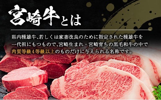 生産者応援 数量限定 宮崎牛 ロース ステーキ 1枚 牛肉 ビーフ 黒毛和牛 ミヤチク 国産 ブランド牛 食品 おかず ディナー 人気 おすすめ 鉄板焼き 高級 贅沢 上質 ご褒美 お祝 記念日 イベント グルメ 枚数が選べる 宮崎県 日南市 送料無料_MPB1-24