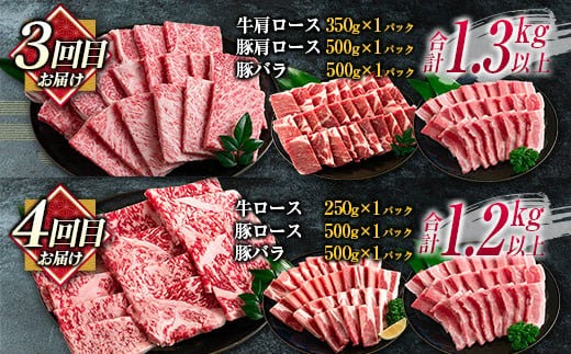 数量限定 6か月 お楽しみ 定期便 宮崎牛 モモ バラ 肩ロース ロース ミスジ ウデ 豚肉 豚バラ 焼肉 食べ比べ セット 総重量8kg以上 肉 牛 豚 国産 宮崎県産 食品 おかず 送料無料_MPKH1-24