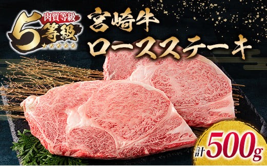 数量限定 最高ランク 5等級 宮崎牛 ロース ステーキ 計500g 牛肉 ビーフ 黒毛和牛 ミヤチク 国産 ブランド牛 食品 おかず ディナー  おすすめ 鉄板焼き 高級 贅沢 上質 ご褒美 お祝 記念日 イベント おもてなし お取り寄せ グルメ 宮崎県 日南市 送料無料_MPD1-24 