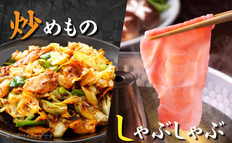 数量限定 豚肉 5種 盛り合わせ セット 合計3.7kg 豚 小分け 豚バラ 豚ロース 豚こま 国産 食品 人気 おかず 焼肉 しゃぶしゃぶ 豚丼 食べ比べ 料理に大活躍 使い勝手抜群 ミヤチク 送料無料_MPCA8-26